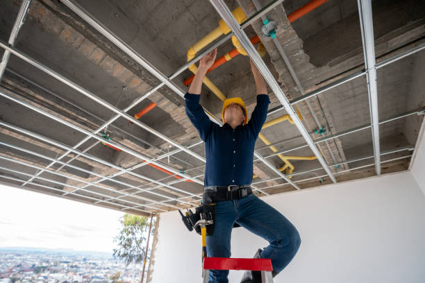 Best Local Plumber Services  in Camano, WA